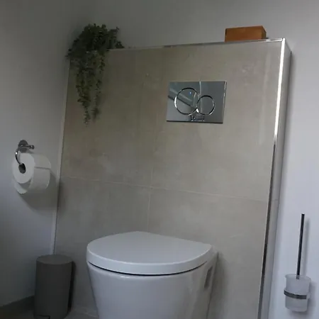 Steuerwald Apartment *
