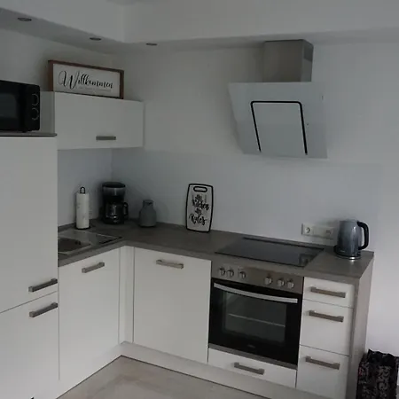 Steuerwald Apartment Bobenheim am Berg