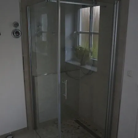 Apartment Steuerwald Bobenheim am Berg