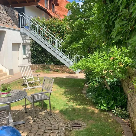 Steuerwald