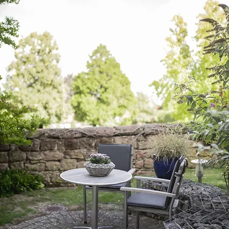 Steuerwald * Bobenheim am Berg